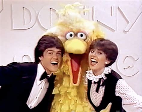 Donny & Marie (1976 series) | Muppet Wiki | Fandom