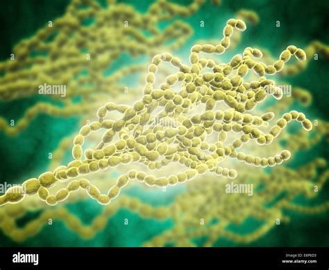 Penicillium Spores