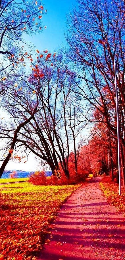 Autumn in Japan | Beautiful nature, Beautiful landscapes, Nature