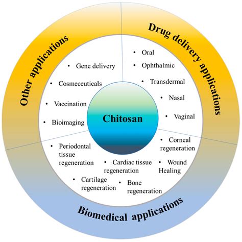 Chitosan: A Potential Biopolymer in Drug Delivery and Biomedical Applications - Pharma Excipients