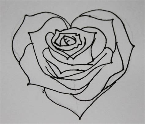 Easy Rose Drawing Outline