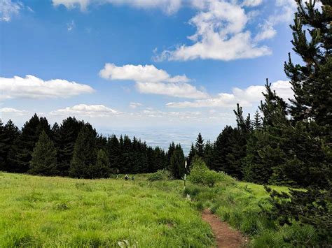 Hiking Vitosha Mountain from Sofia - Where Food Takes Us