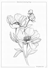 50 Botanical Coloring Pages Your Free Ticket To A Colorful Garden  sketch template