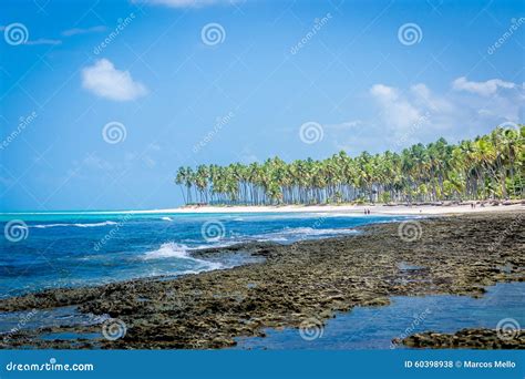 Brazilian Beaches-beach Of Carneiros, Pernambuco Stock Photo - Image of brazil, destination ...