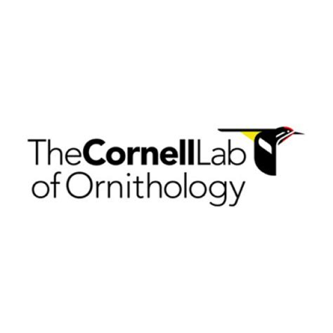 Cornell Laboratory Of Ornithology | Discography | Discogs