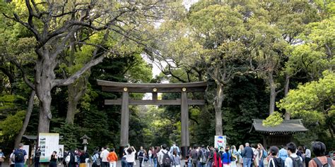 Meiji Jingu Forest Festival of Art | About Meiji Shrine