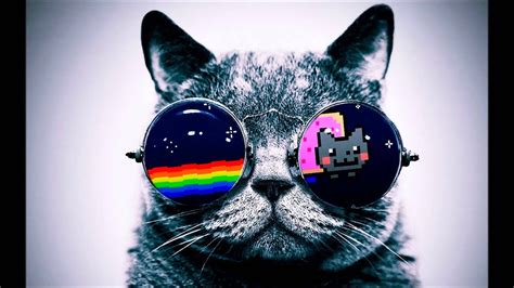 Nyan Cat Alex S Dubstep Remix) - YouTube