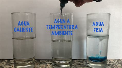 Experimentos sobre ósmosis y difusión. 🧪🧬 - YouTube