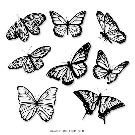 Image result for butterfly illustration black and white | Tatouage papillon blanc, Tatouage ...