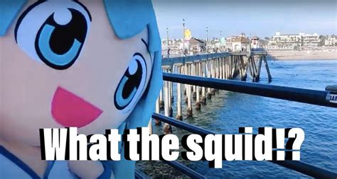 I made some Squid Girl Memes - Forum Games & Memes - Anime Forums