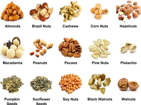 If You Eat Nuts, 100% Certainty That You Will Live 20% Longer