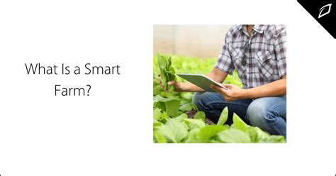 What Is a Smart Farm?