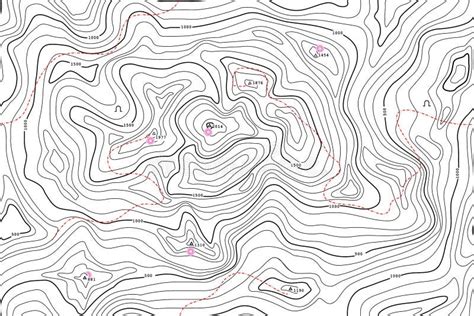 TOPOGRAPHIC MAP with CONTOUR LINES and ATTRACTION. SEAMLESS VECTOR ...