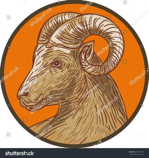 Drawing Sketch Style Illustration Ram Goat Stock Vector (Royalty Free) 487440337 | Shutterstock