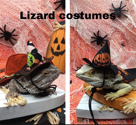 Bearded dragon costumes Halloween costumes for lizards With | Etsy