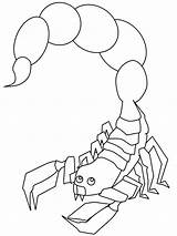 Scorpion Coloring Pages sketch template