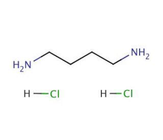 Putrescine dihydrochloride | CAS 333-93-7 | SCBT - Santa Cruz Biotechnology