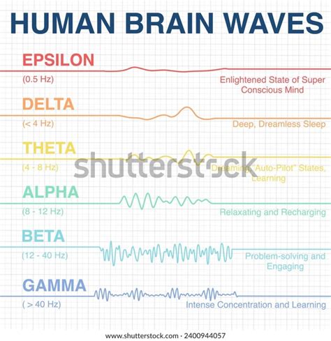 Human Brain Wave Frequency Graphics Vector Stock Vector (Royalty Free ...