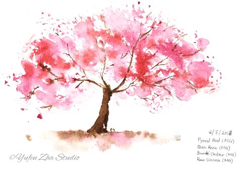 A watercolor cherry blossom study I did last year. Every year one of the biggest excitements I ...