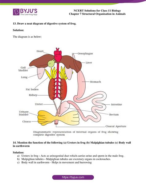 NCERT Solutions Class 11 Biology Chapter 7 Structural Organization in ...