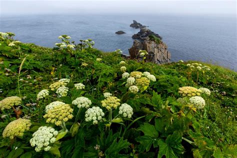 See the Last Unknown: The Aleutian Islands | Nature and Wildlife | Discovery