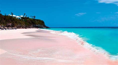 Pink sand beach hawaii - Nupics.pro