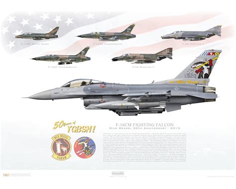 Aircraft profile print of F-16CM Fighting Falcon - Wild Weasel 50th Anniversary, 2015 - Profile ...