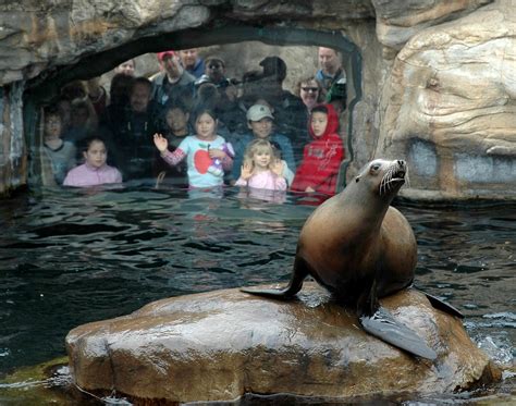 Oregon Coast Aquarium remakes its website | OregonLive.com