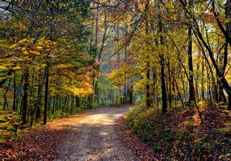 Tag » fall foliage « @ Photos Of Arkansas | Landscape, Nature ...