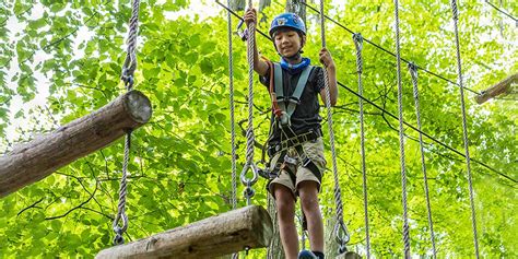 Treetop Trekking In Stouffville: Family Adventure For All Ages - Adventure Family Travel ...