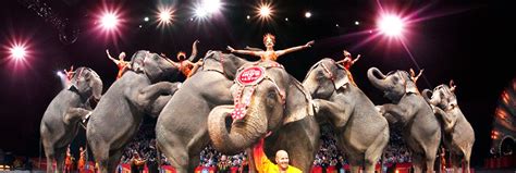 America’s largest animal circus closes after 146 years | Inhabitat - Green Design, Innovation ...