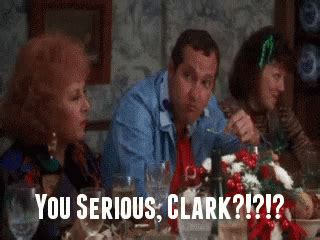 Are You Serious Clark Christmas Vacation GIF - Are You Serious Clark Clark Christmas Vacation ...