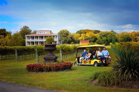 Visit one of our fabulous vineyards and wineries. Summer vacation, Cape ...