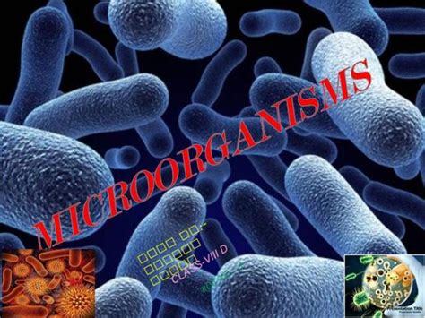 bacteria ppt background