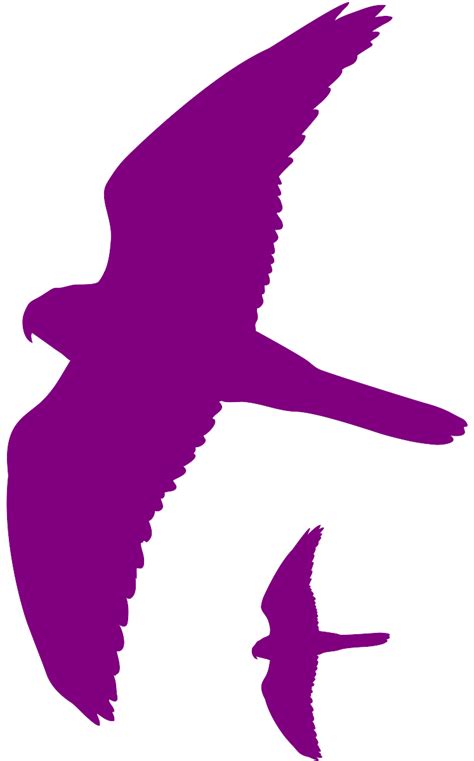 Hawk Silhouette | Free vector silhouettes