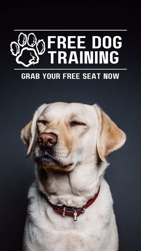 Free dog training free online workshop | Training your dog, Dog training, Dog training obedience