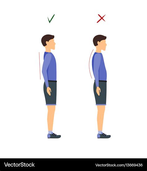 Correct or incorrect standing and walking posture Vector Image