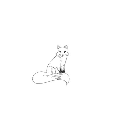 How To Draw A Fox (Step By Step With Pictures)