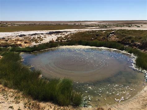 The Bubbler - ancient mound spring Oodnadatta Track, South Australia | Australia travel, Outback ...