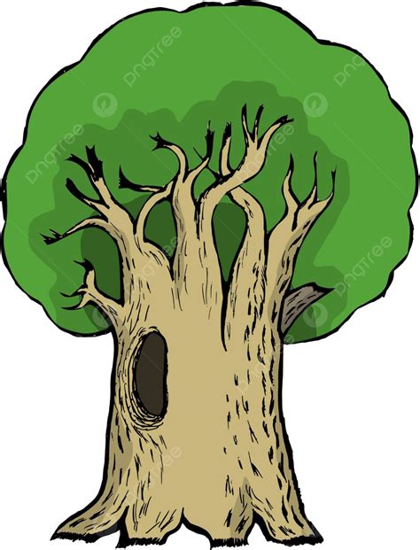 Cartoon Oak Oak Tree Deciduous Summer Vector, Oak Tree, Deciduous, Summer PNG and Vector with ...