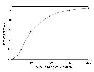 biochemistry - Enzyme kinetics types? - Biology Stack Exchange