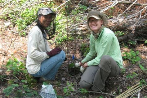 The Nature Conservancy: Adaptation Forestry in Minnesota's Northwoods | Climate Change Response ...