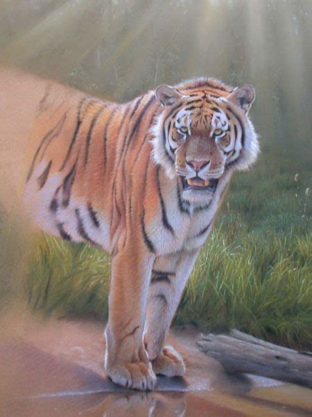 Realistic Tiger Painting Art Lesson - Pastels | Tiger painting, Pastel ...