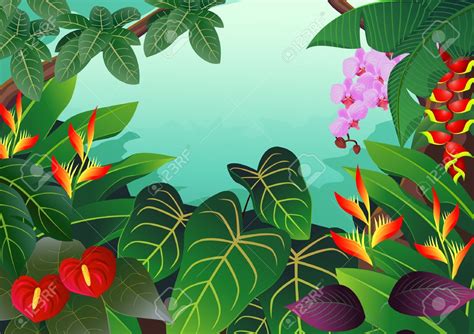 tropical rainforest clipart 20 free Cliparts | Download images on ...