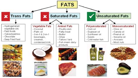 Monounsaturated Fat Examples