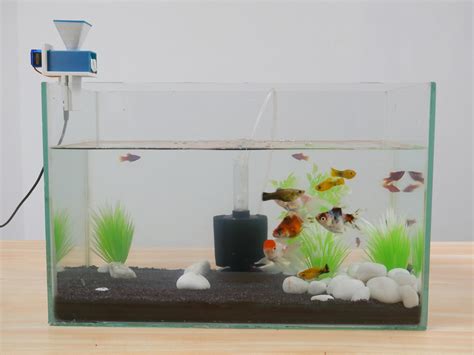 Aquassist : DIY Automatic Fish Feeder With Companion App : 10 Steps (with Pictures) - Instructables