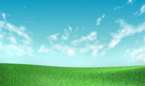 Download Panorama View Of Grass And Sky Background | Wallpapers.com