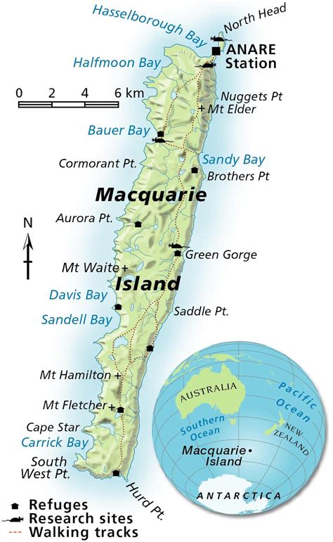 Debi Shearwater's Journeys: MACQUARIE ISLAND- AN AUSTRALIAN TERRITORY: BIRDING DOWN UNDER