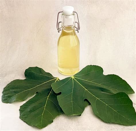 Fig Leaf Syrup | EmilyFabulous