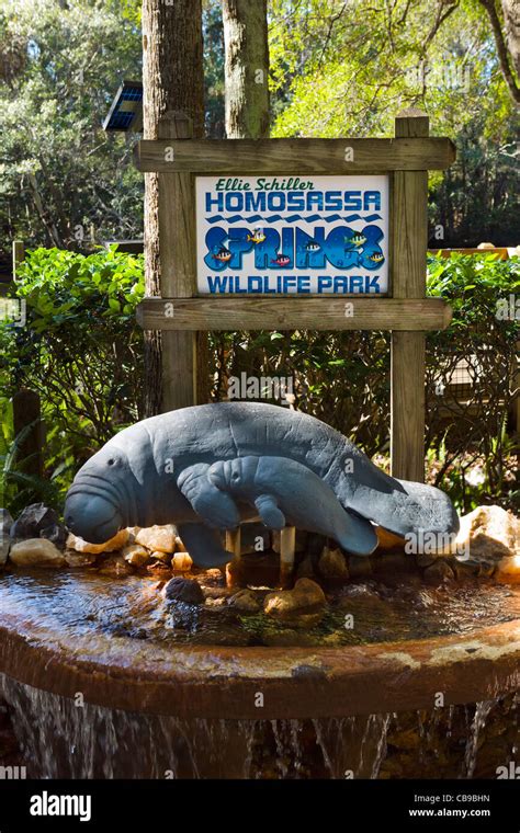 Manatee fountain at the entrance to Homosassa Springs State Wildlife ...